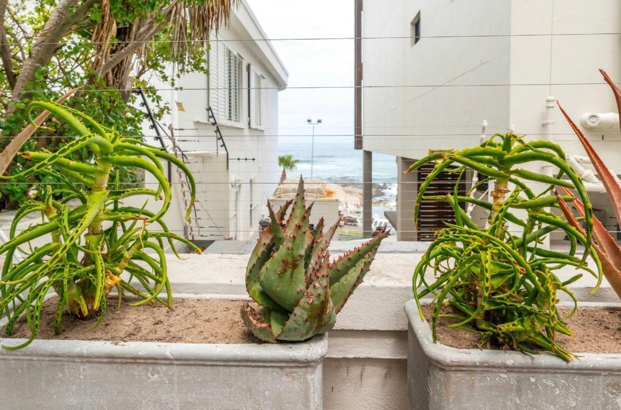 Bantry Beach Luxury Suites Κέιπ Τάουν Εξωτερικό φωτογραφία